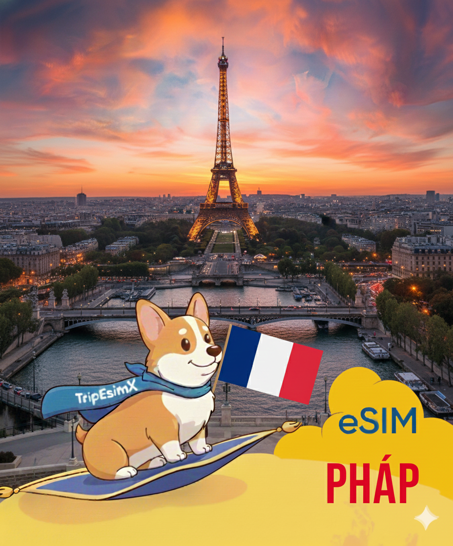 eSIM France