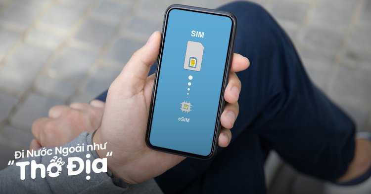 ảnh trọn vẹn hành trình